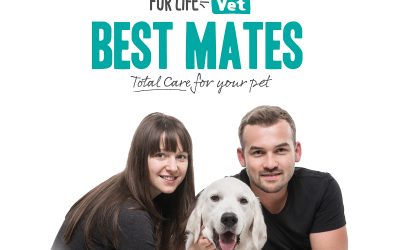 Best Mates – Membership has its benefits!