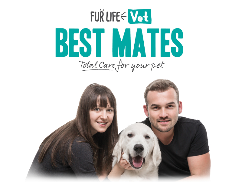 Best Mates – Membership has its benefits!