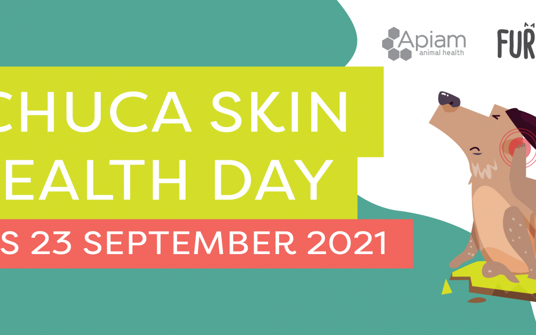 Fur Life Vet Echuca Moama Skin Health Day 2021